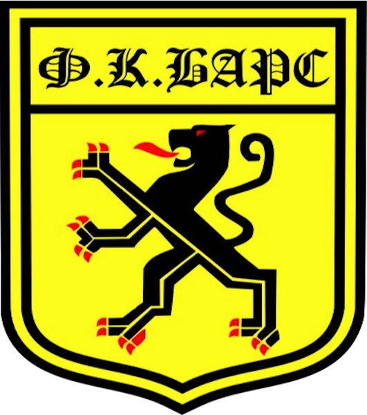  Барс Футбольная школа 