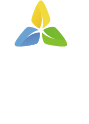 Логотип Третье Чувство