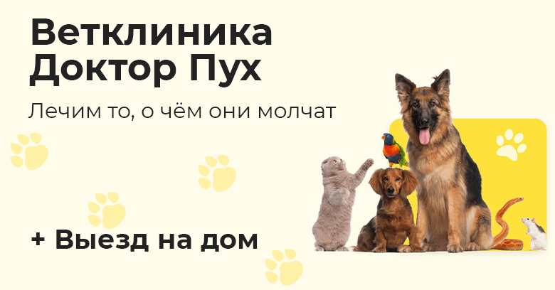 Прайс ветеринарной клиники