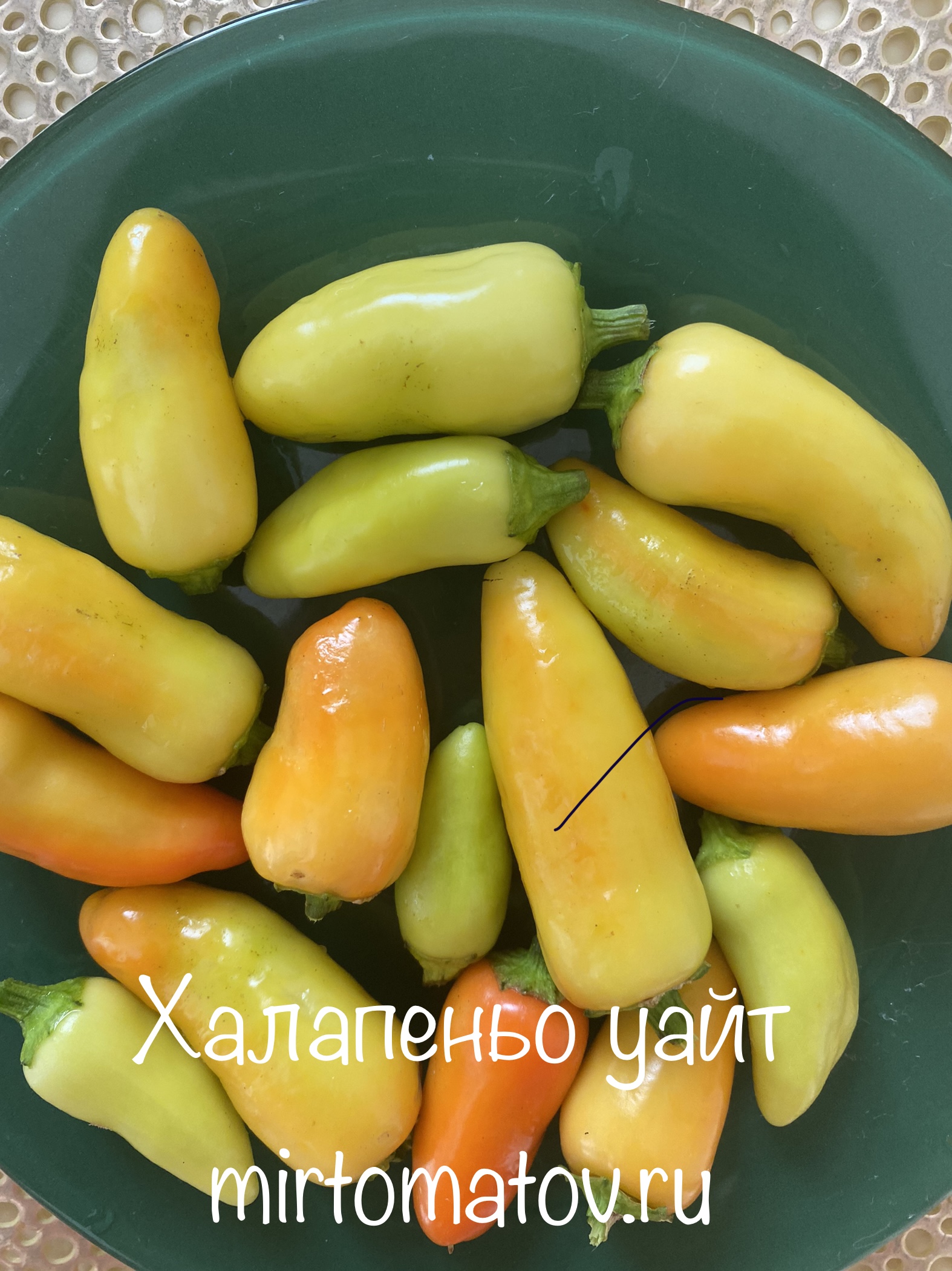 Халапеньо