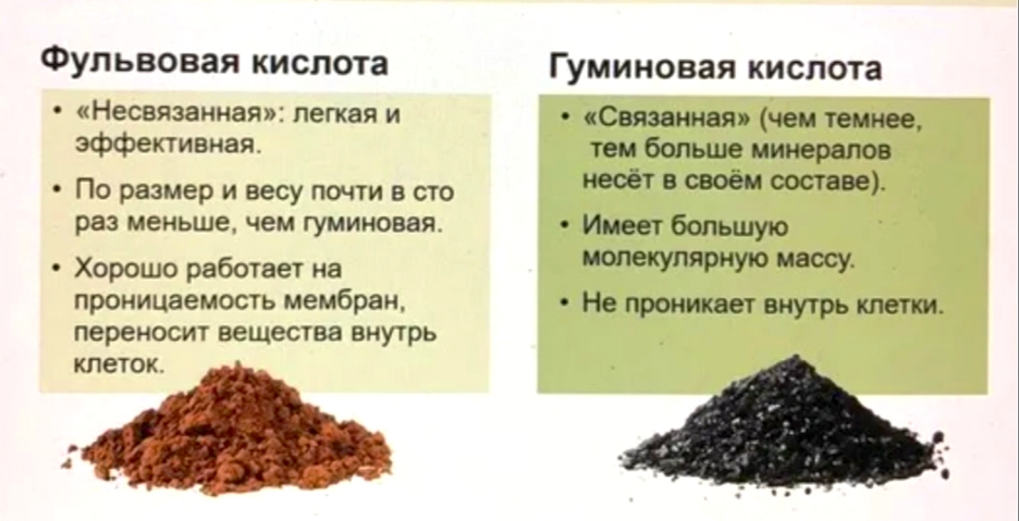 Фульвовые и гуминовые кислоты польза для растений