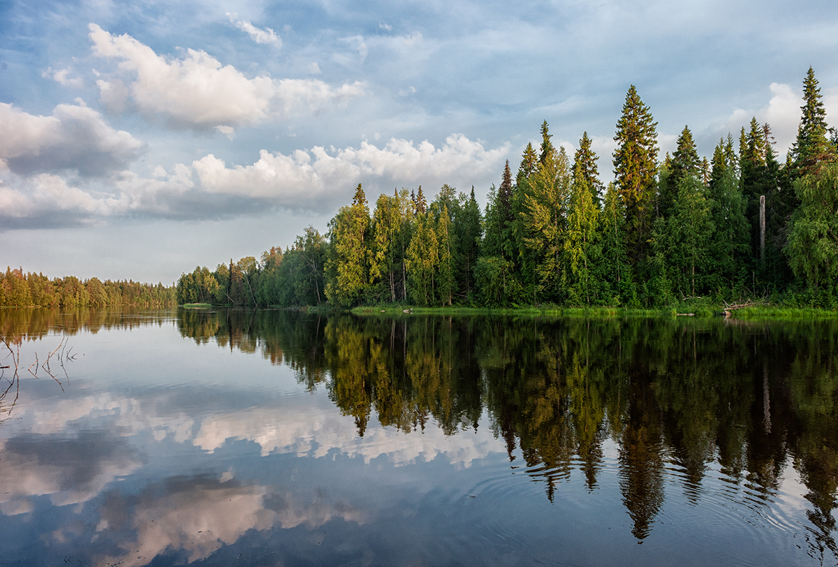 Река Илекса Карелия