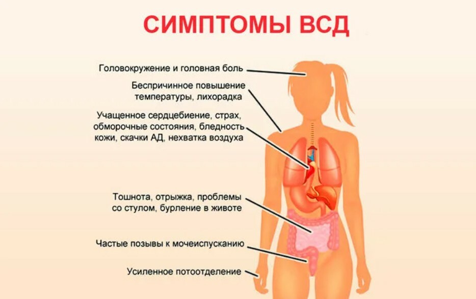 Трясло ночью без температуры. ВСД. ВСД симптоматика. ВСТД это. Симптомы сосудистой дистонии.