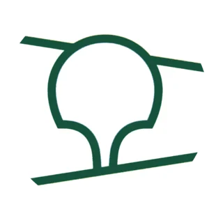 website icon