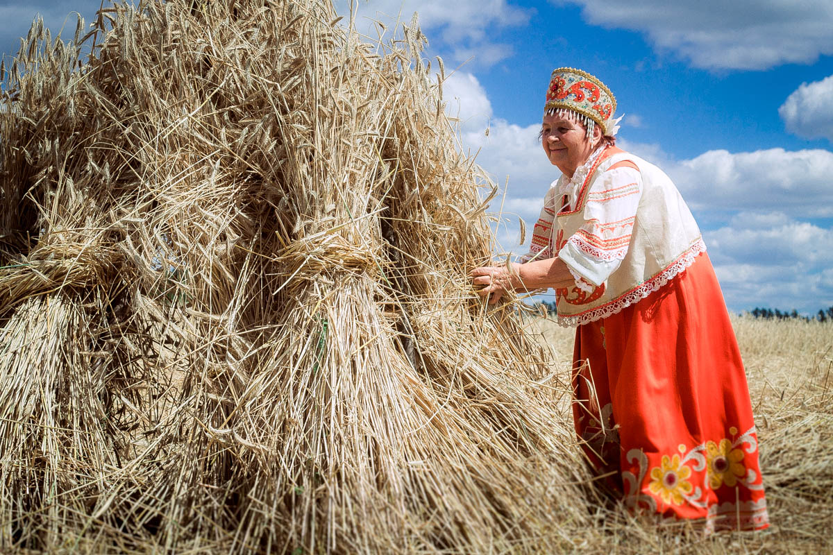 Снопа велеса праздник. Праздник сбора урожая. Жатва снопы. День снопа. Дни жатвы.