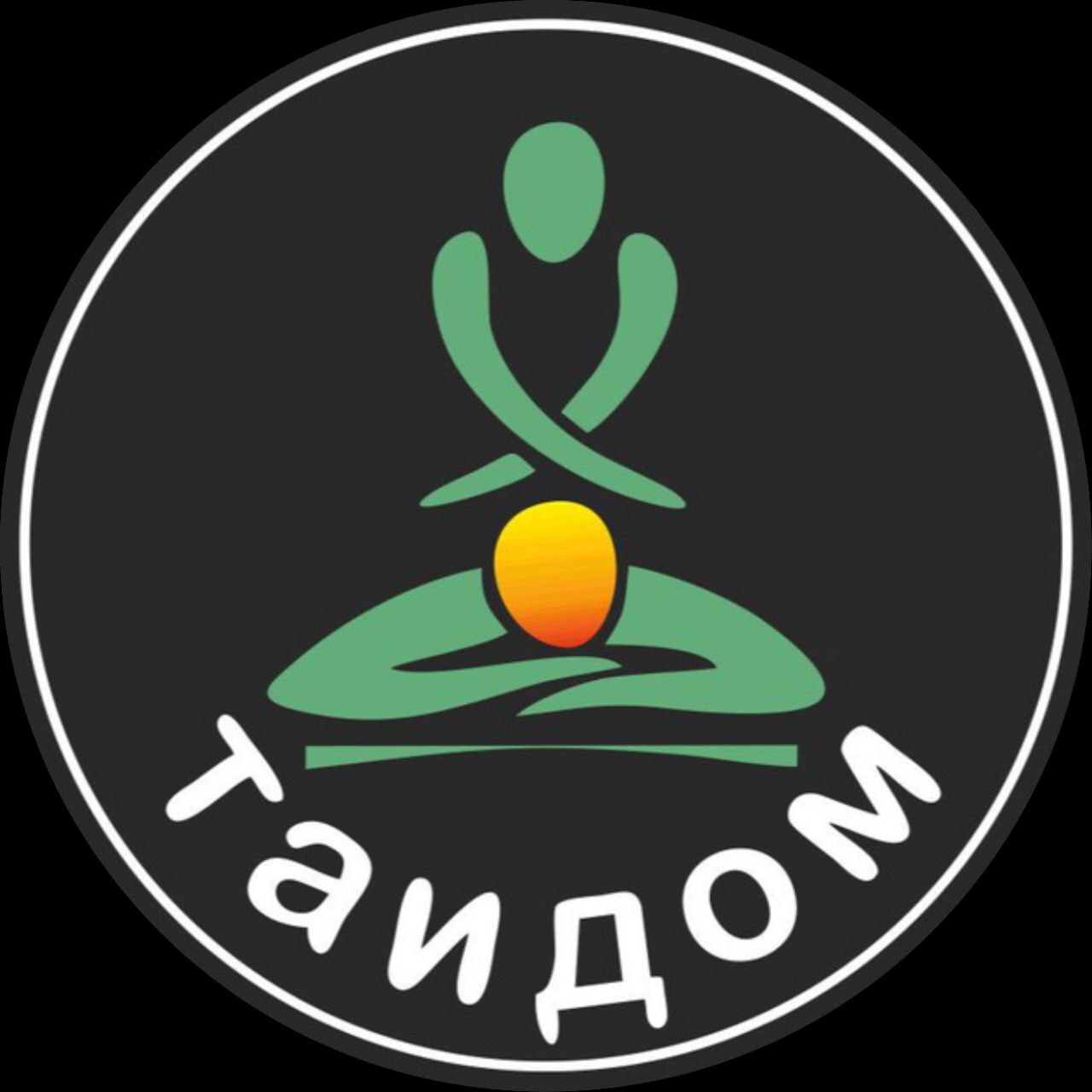 Логотип ТАИДОМ