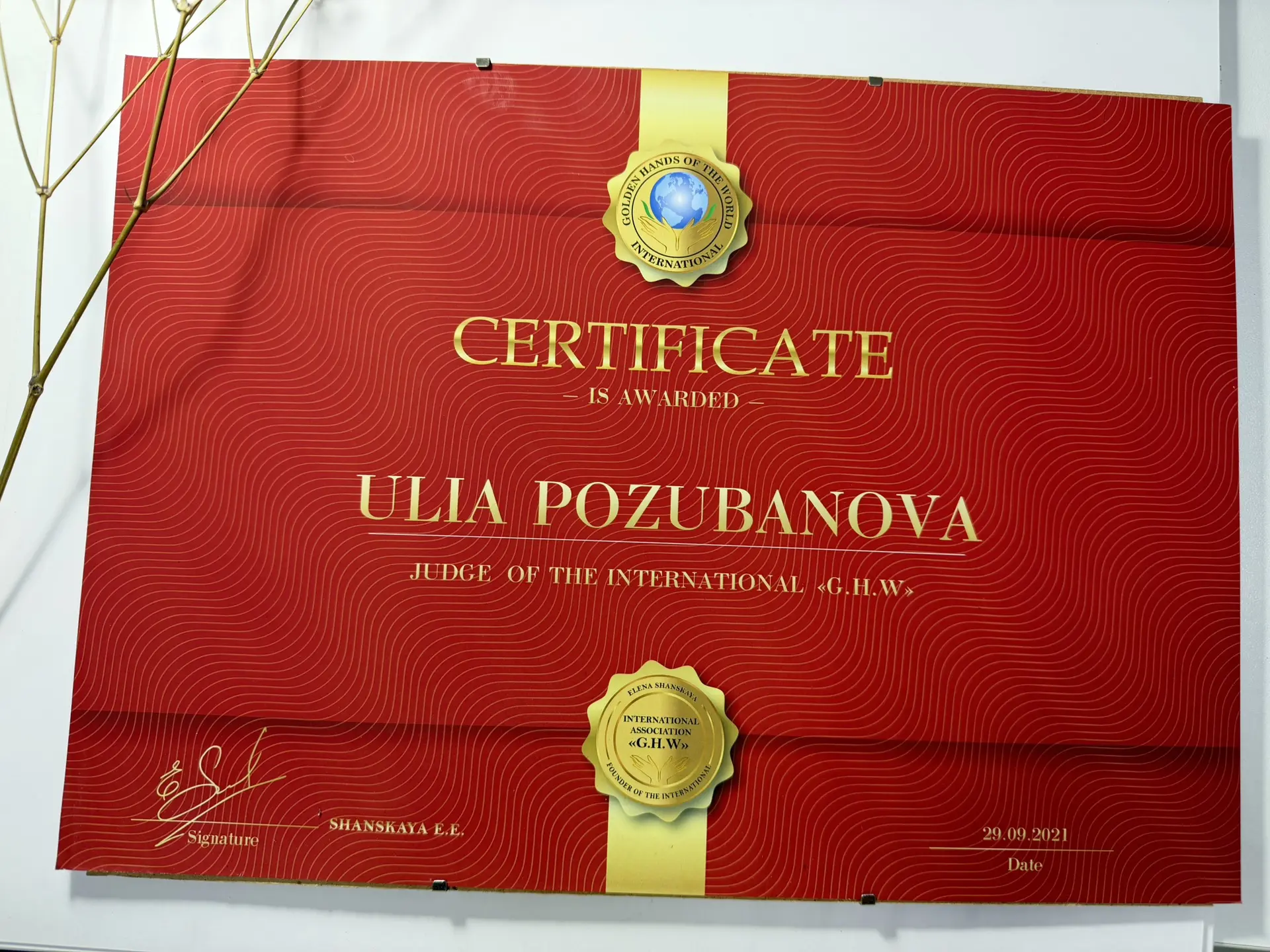Сертификат 1