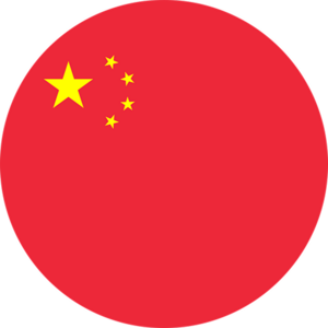 website icon