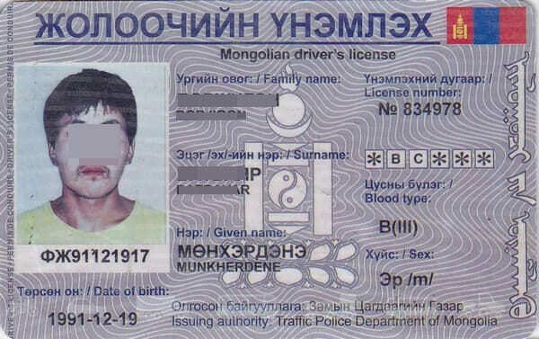 Как выглядят монгольские номера