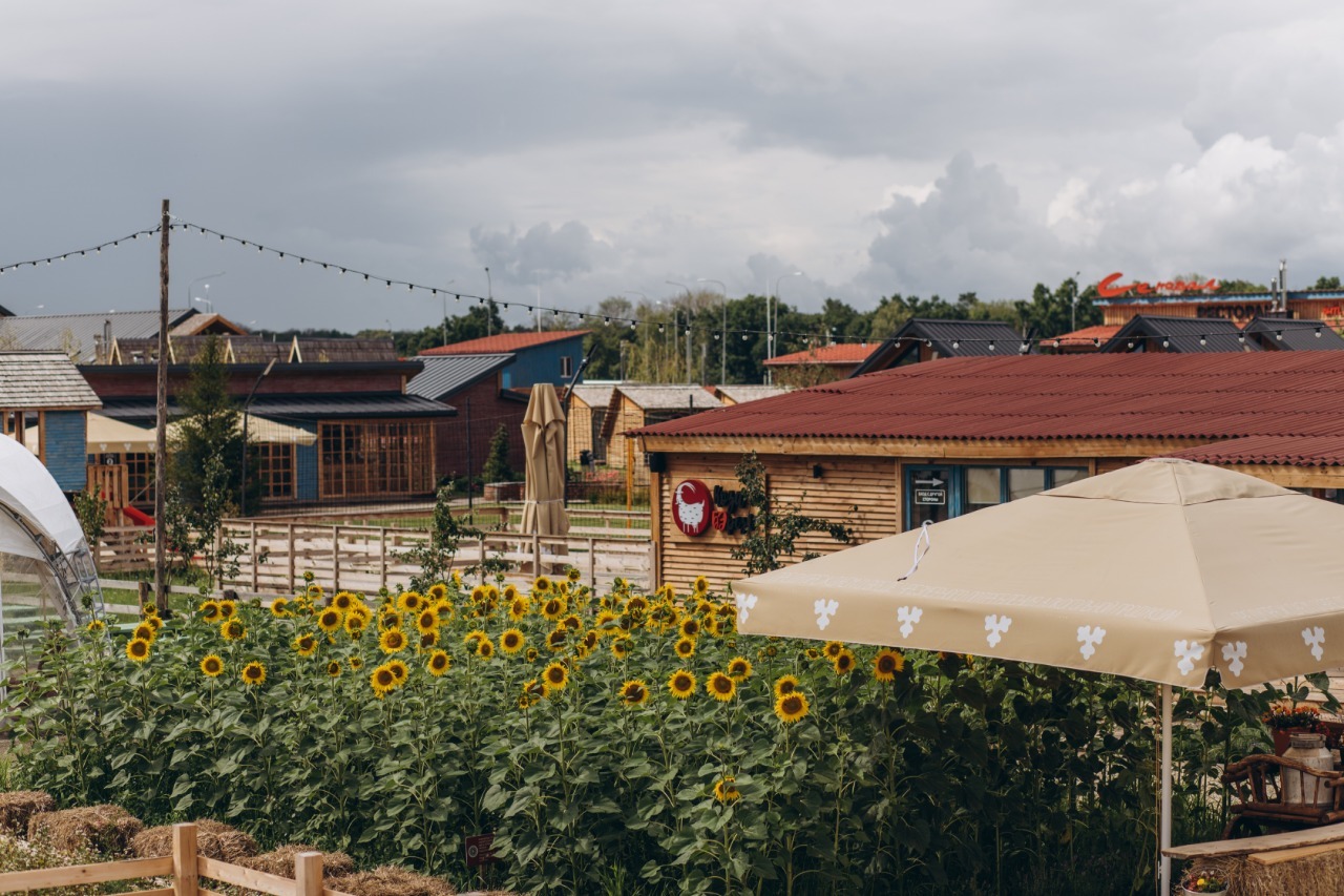 Ферма вилладж воронеж. Ферма Виладж Воронеж. Farm Village Воронеж. Farm Village Воронеж фото.