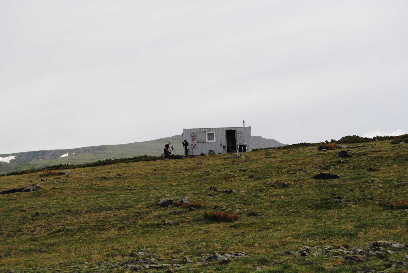 По следам северного оленя