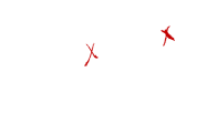 2019