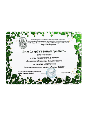 Изображение сертификата2