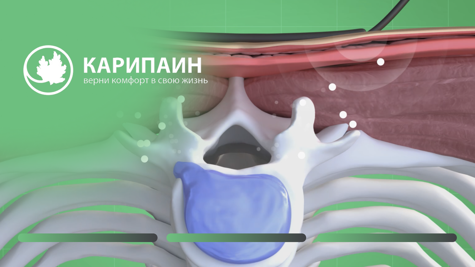 3D-терапия позвоночника