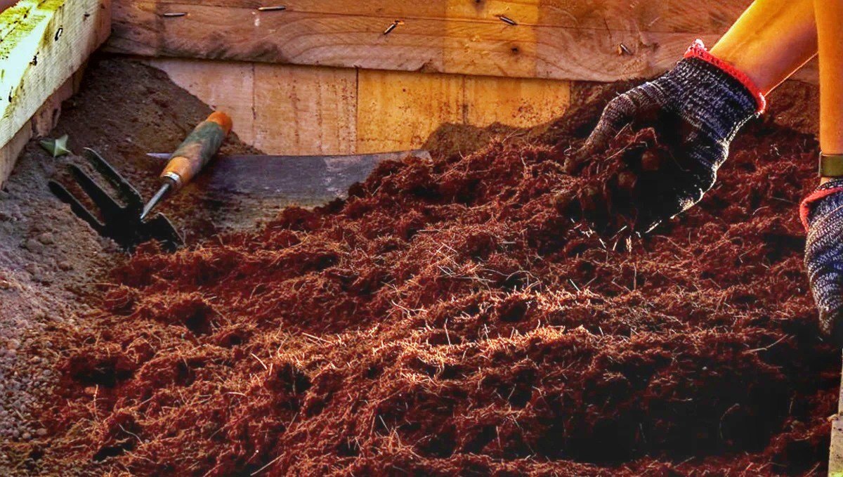 Как использовать компост 