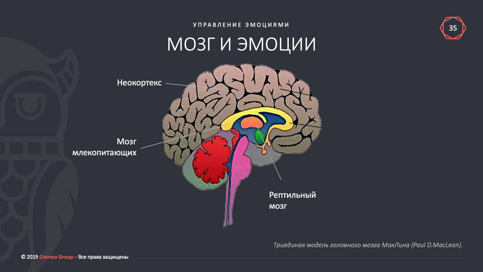 Мозгом управляет информация. Гормоны и эмоции. Эмоции и гормоны взаимосвязь. Какие гормоны отвечают за эмоции. Гормоны и эмоции таблица.