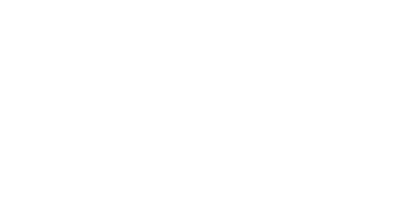 Tampereen Lokit Ry:n logo