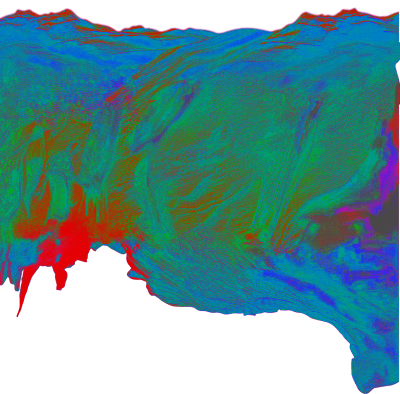 Космическое сафари на планету Эрикте. Веб-дизайнер Диана Шакерова