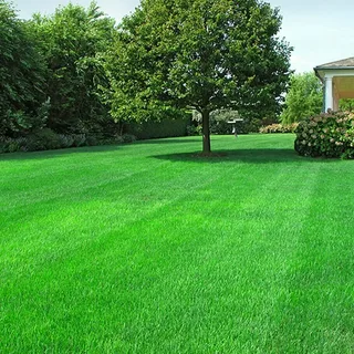 Универсальный газон