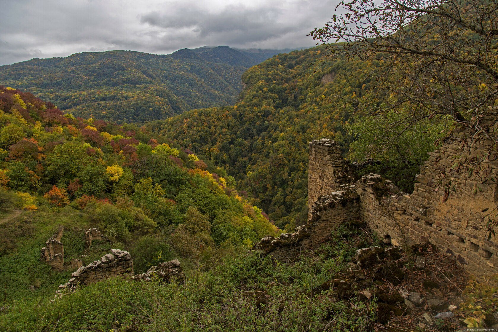 Кала корейш