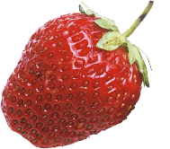 СТЕВИЯ СВИТЛИ ПРЕМИУМ