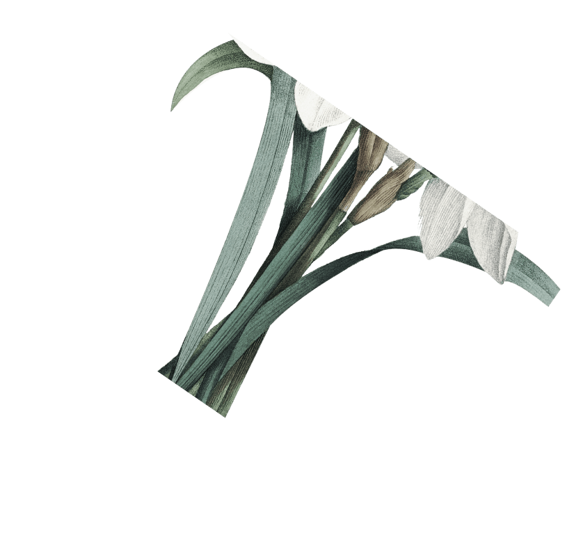 натуральная косметика, магазин профессиональной косметики, крем для ног, крем для ног с мочевиной, крем для ног купить, масло для ногтей, масло монарды для ногтей, масло для ногтей купить, косметика для ногтей, дезодорант для ног