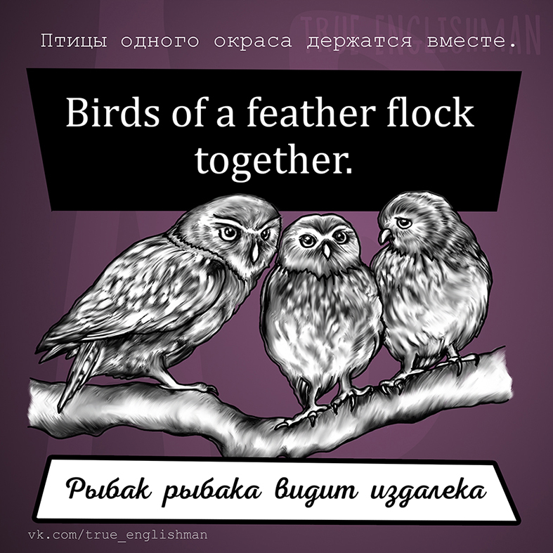 English proverbs. Birds of a feather flock together.