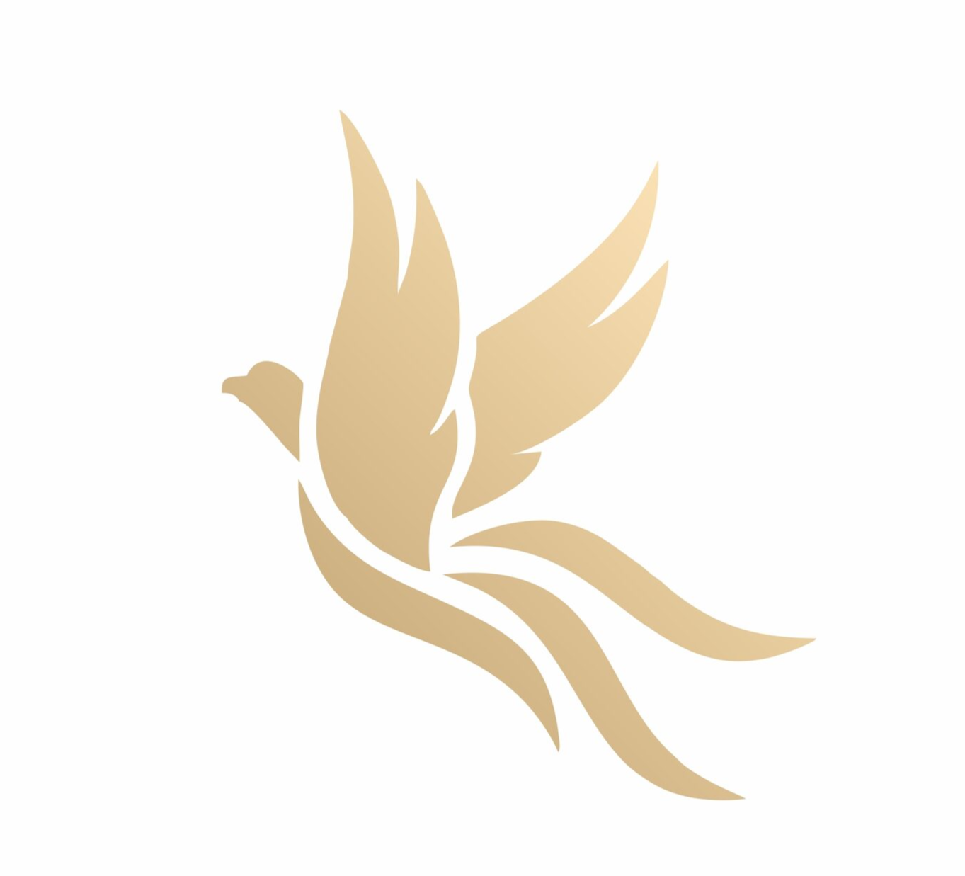 Академия Натальи Балакиной