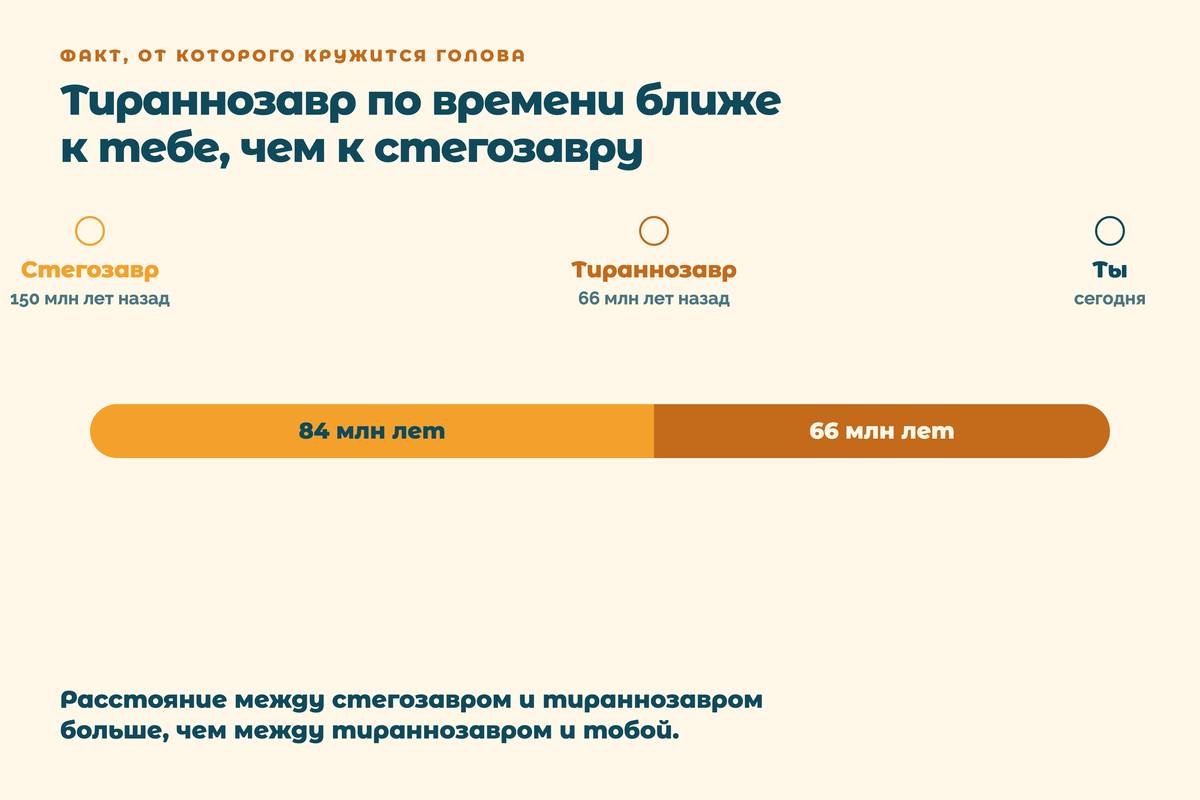 Временная шкала: стегозавр, тираннозавр и ты