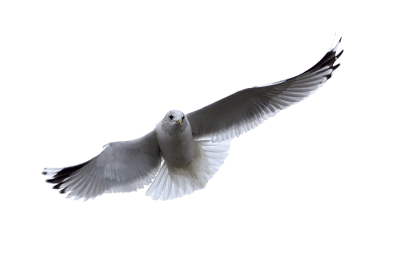 Музыка для чакр