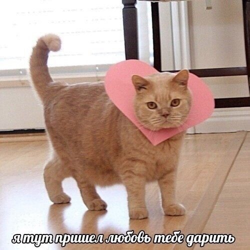 как влияет аура