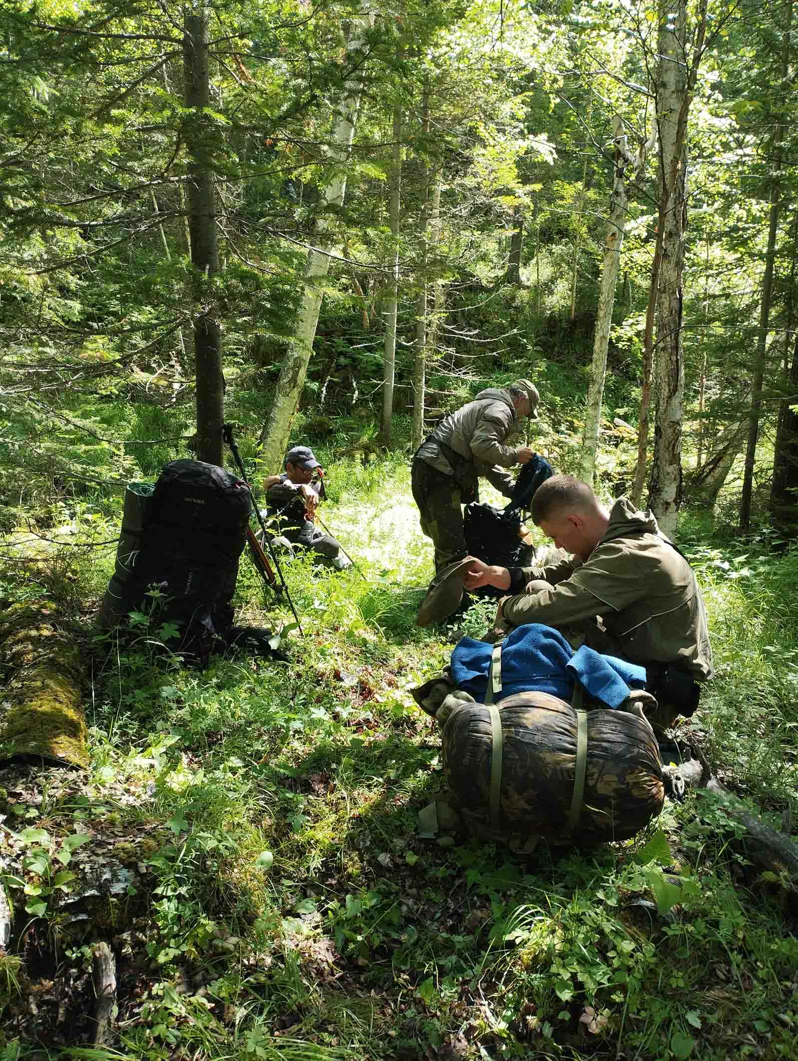 По следам северного оленя