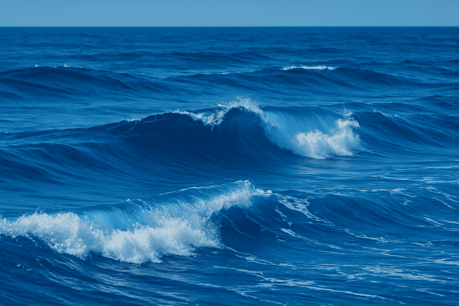 Концепция лендинга FERMA &amp;amp;amp; JAZZ для курорта «Заокские поля» в рамках стратегии голубого океана