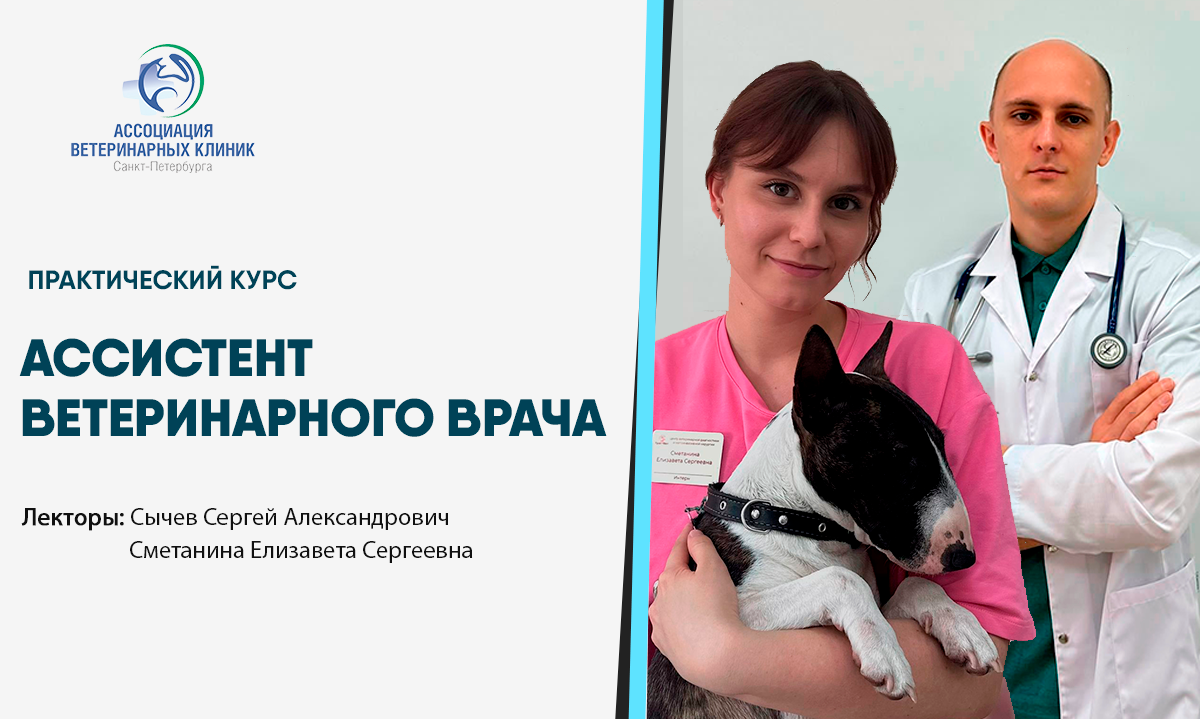 Курс для ассистентов ветеринарного врача