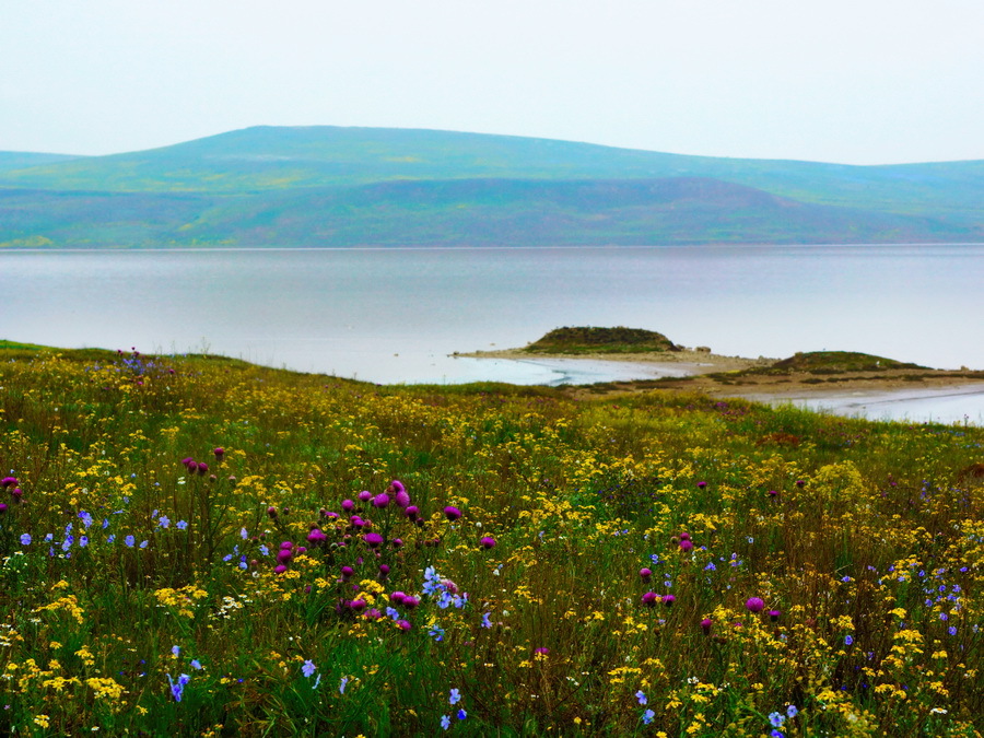 Опукский Заповедник Крым Фото – Telegraph