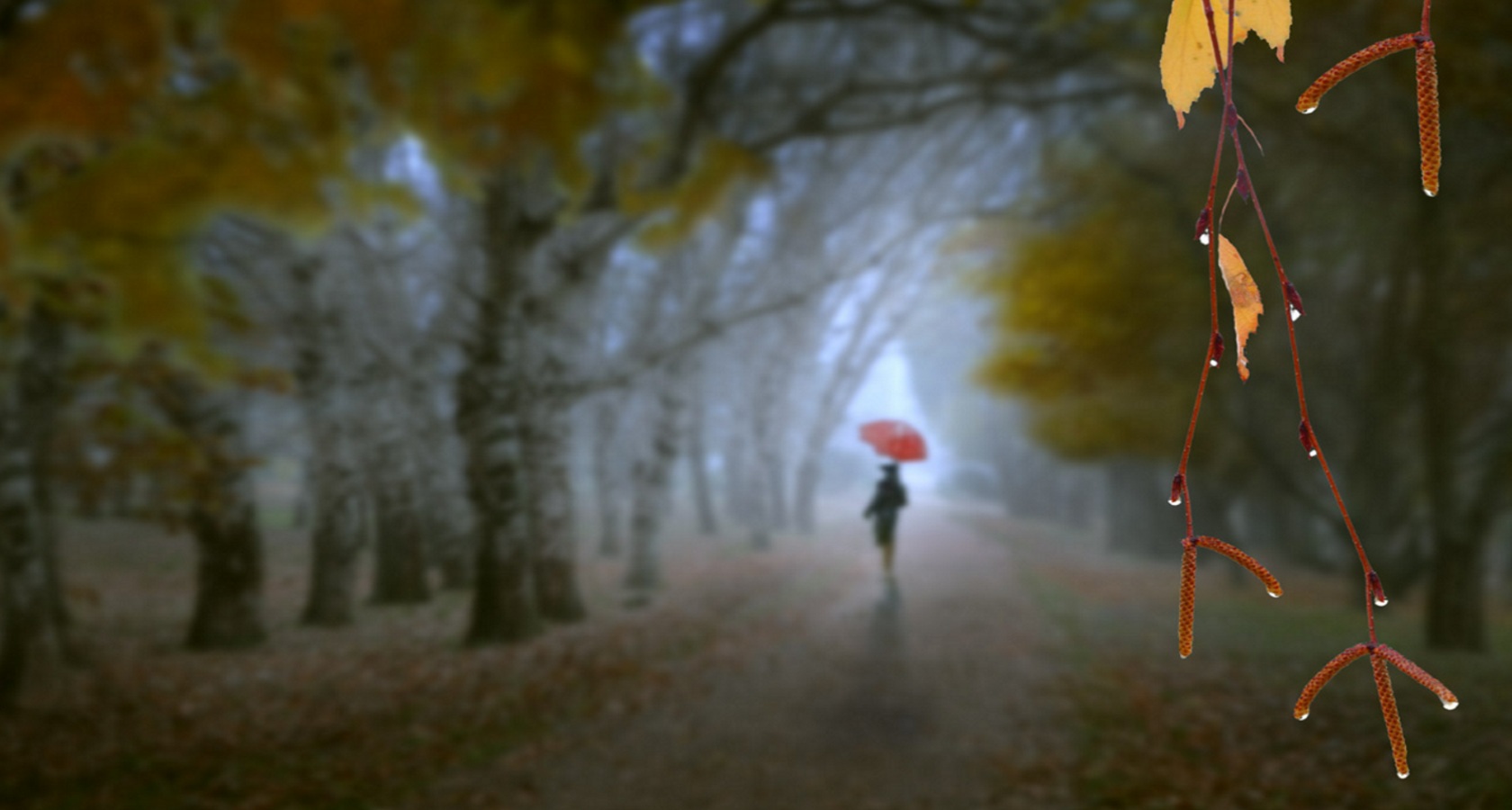 Песня осенью дождливый серый день. Дождливая осень.