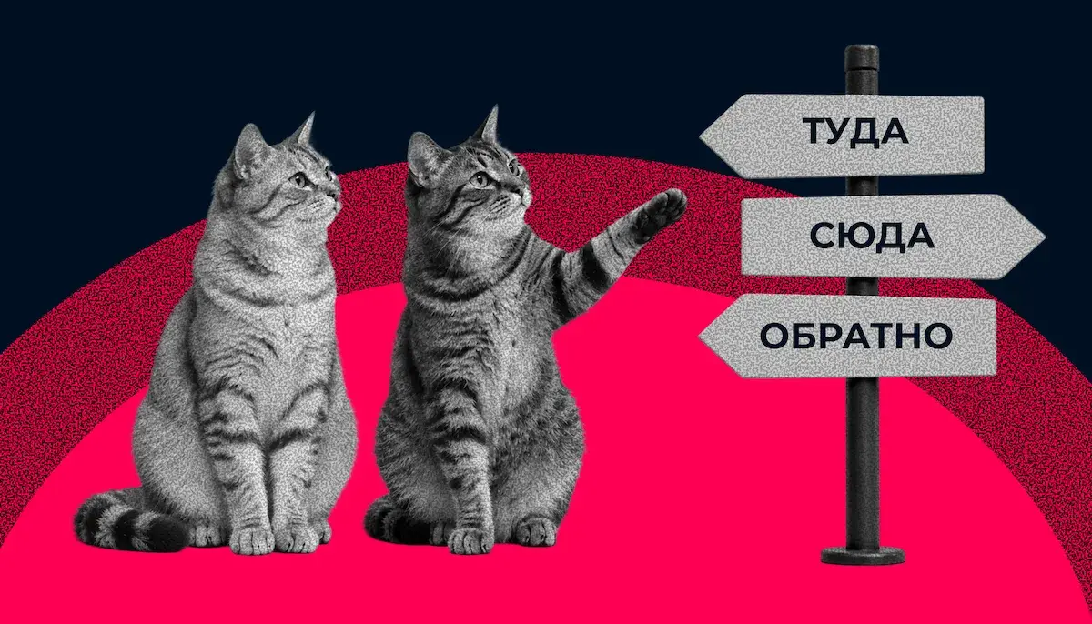 Баддинг: что это и какую пользу он приносит в обучении