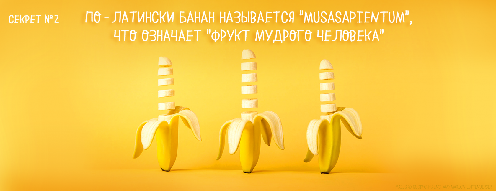 banana_2.png