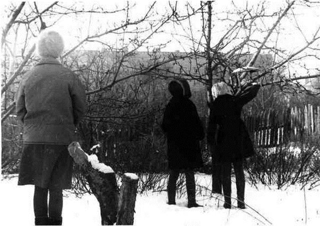 Забота юннатов о птицах в зимнее время