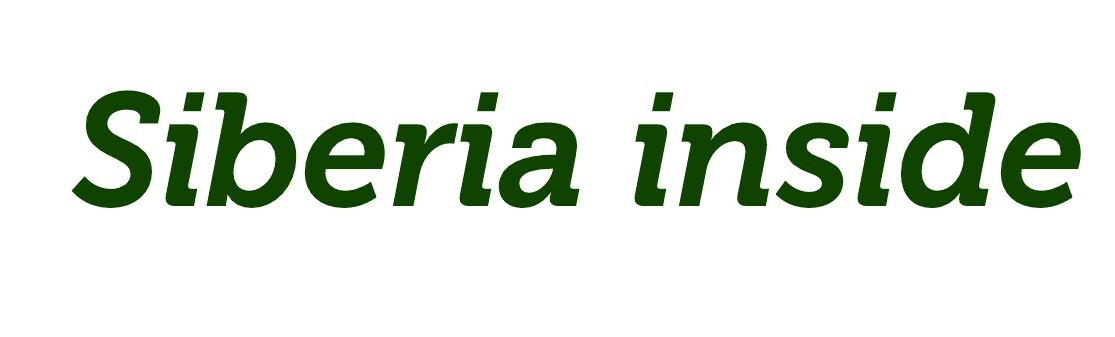 Флорариумы, моссариумы и геометрические формы!