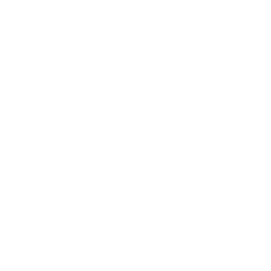 website icon