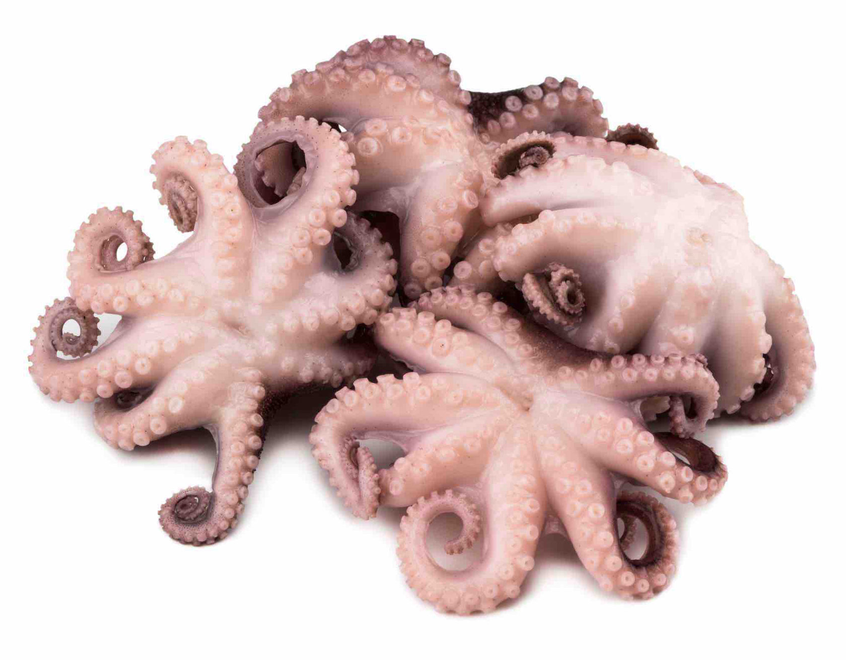 Морские деликатесы