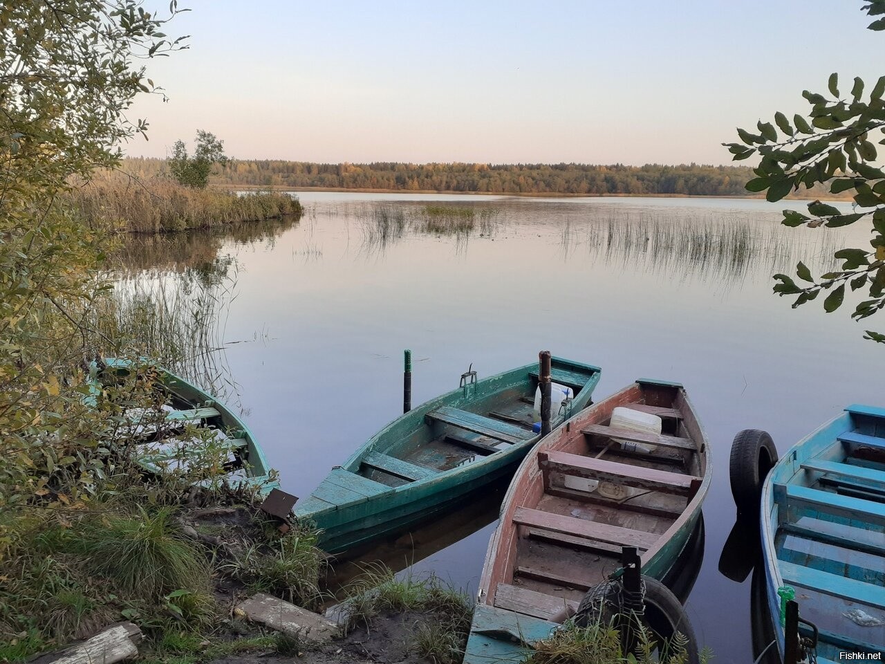 Орлино гатчинский район фото