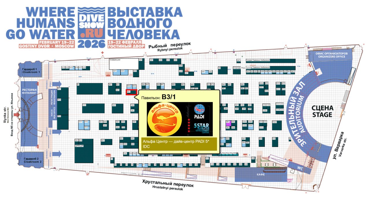 обучение дайвингу в Москве