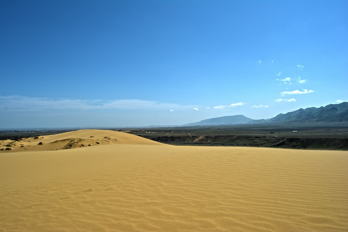 Бархан сары кум. Бархан Сарыкум в Дагестане. Песчаная гора в Дагестане Сарыкум. Дюна Дагестан Сарыкум. Сары Кум пустыня Дагестан.