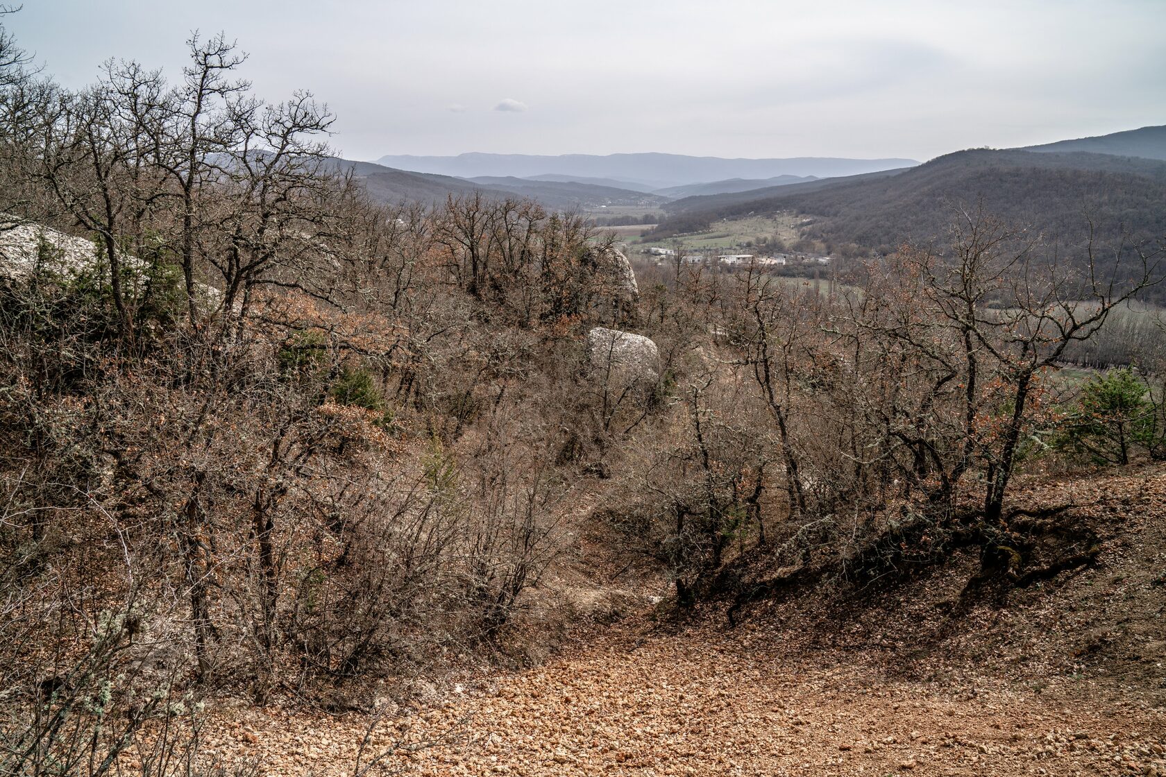 Палеонтологические находки Paleo Tours. Крым