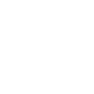 website icon