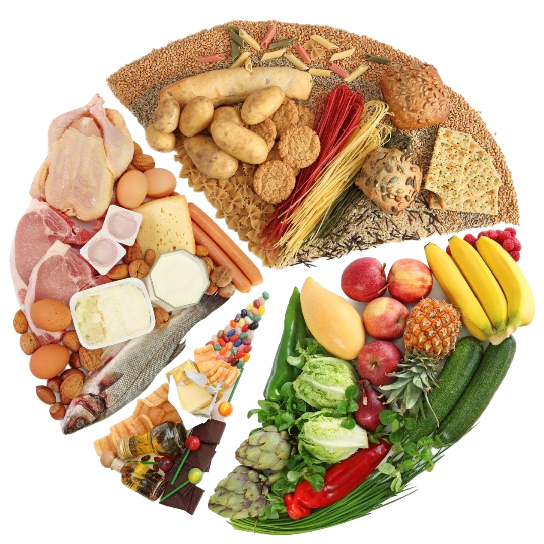 ПРОГРАММА ПИТАНИЯ