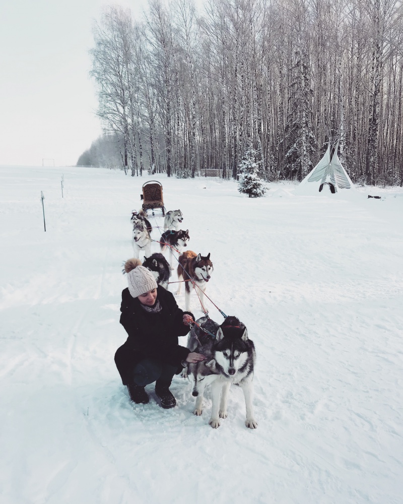 Хаски хаус база отдыха нижний новгород