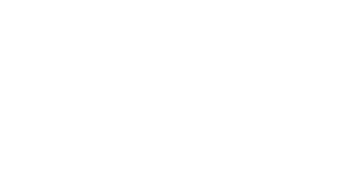 Carlsberg Group